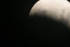 img_8442_t1.jpg